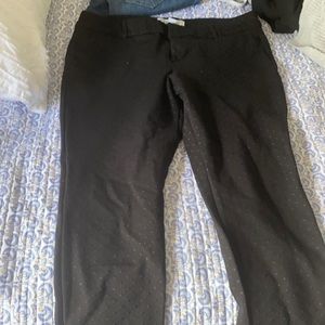 Interview Ready Dress Pants